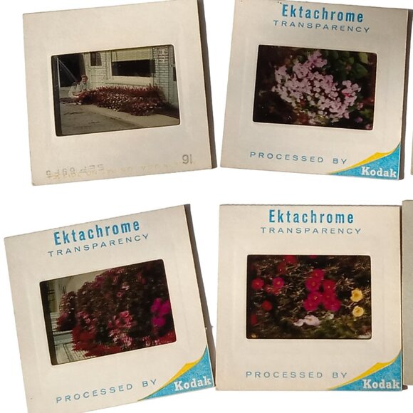 Vintage Zadiix Slide Viewer, Royal De-Luxe, with 6 Slides - Picture 8 of 15